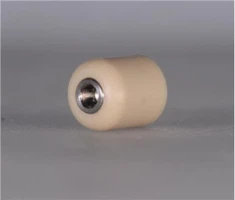 Straumann Healing Cap
